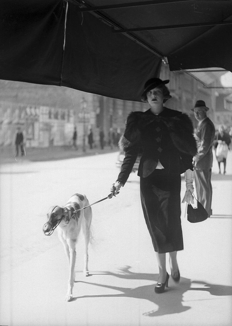 Đuro Janeković, "Dama sa psom", 1934.
